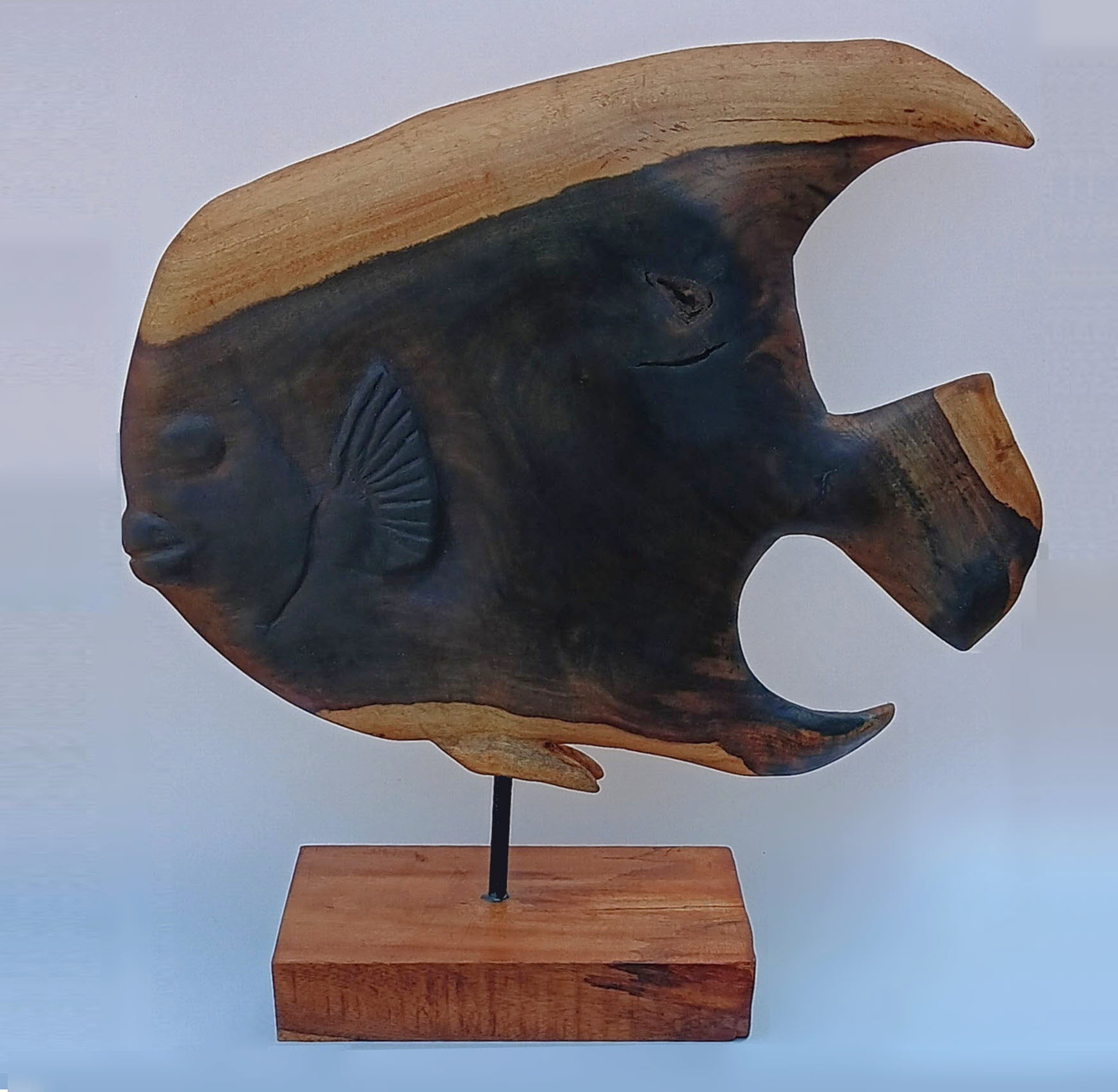 Hand-carved blue mahoe heartwood angelfish sculpture on wood base by Key West artist Will Fernandez, 20x20 inches.